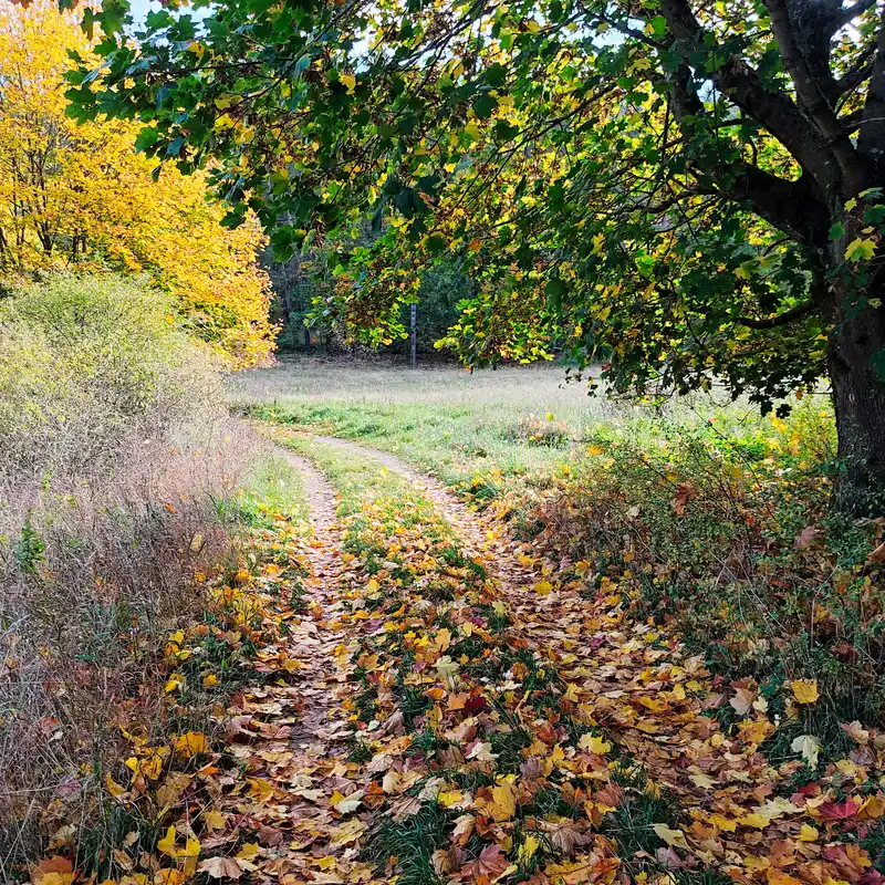 Herbstlicher Wanderweg