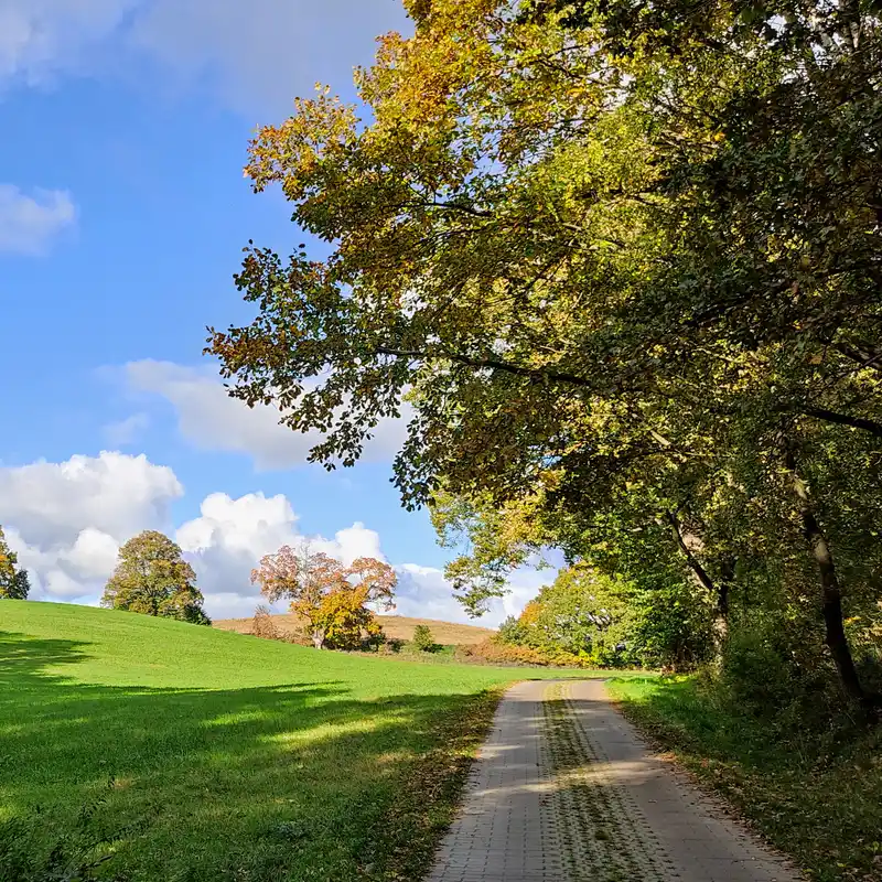 Mecklenburg-Vorpommern