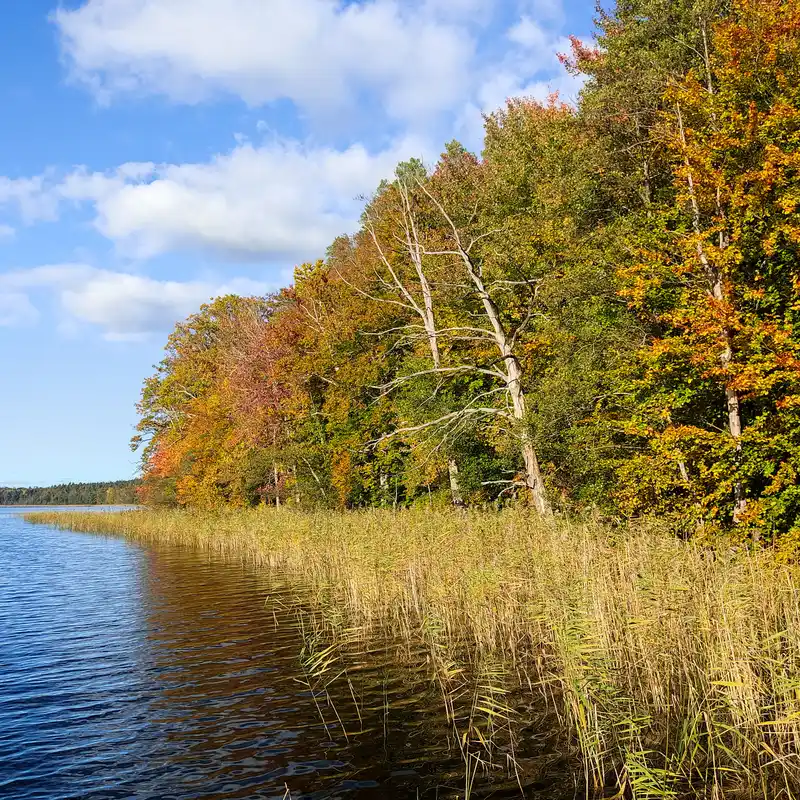 Mühlensee