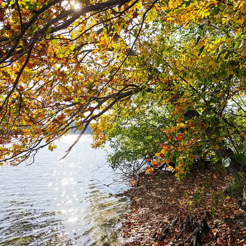 Herbstliche Waldrunde um den Sacrower See