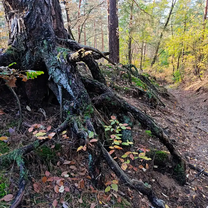 Wanderweg zum Großen Ravensberg