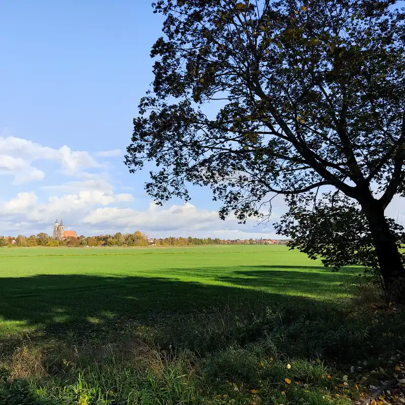 Auf dem Spitzbubenweg rund um Jüterbog