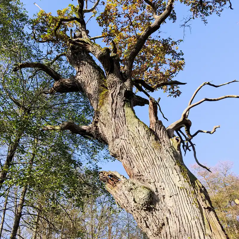 Naturparkroute Märkische Schweiz