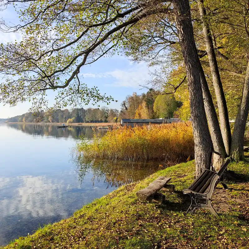 Badewiese am Scharmützelsee