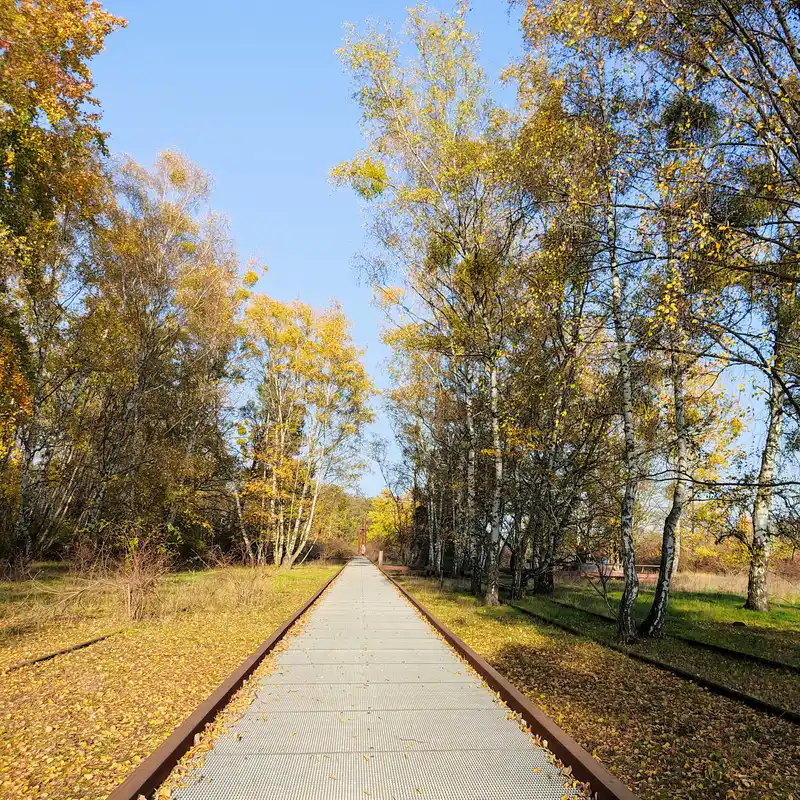 Weg durch den Naturpark