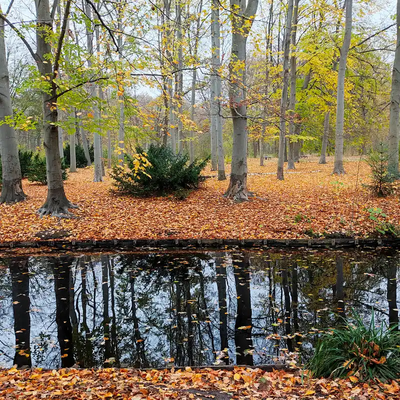 Fließ mit Herbstwald