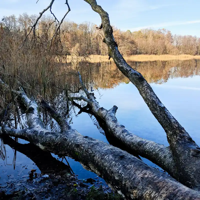 Grunewaldsee