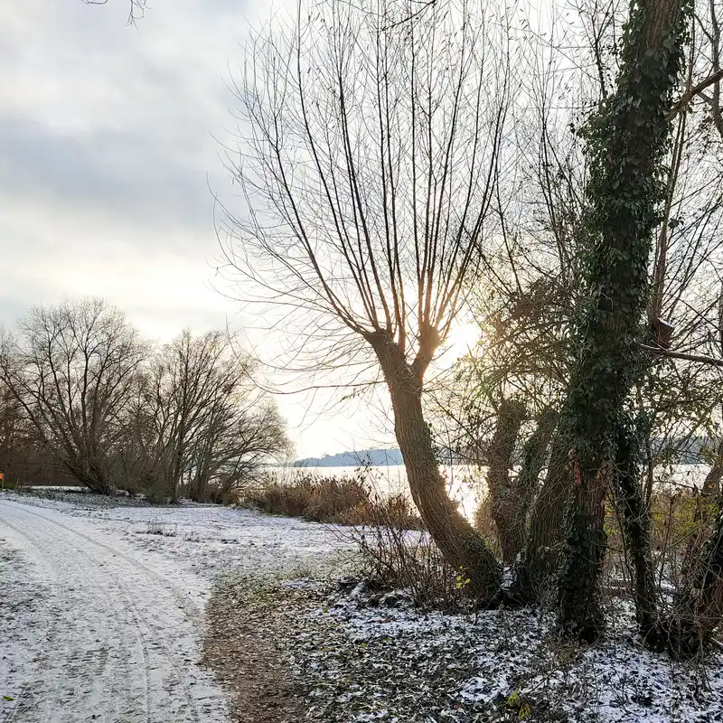 Am Havelufer durch den winterlichen Grunewald