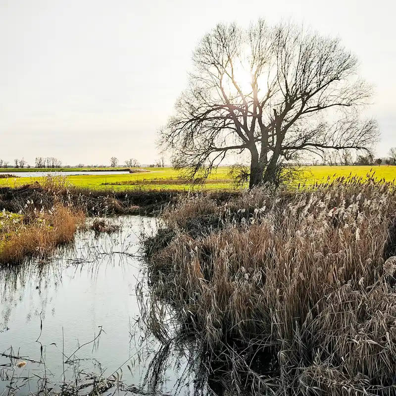 An Ohre, Mittellandkanal und Elbe zur Lichterwelt Magdeburg