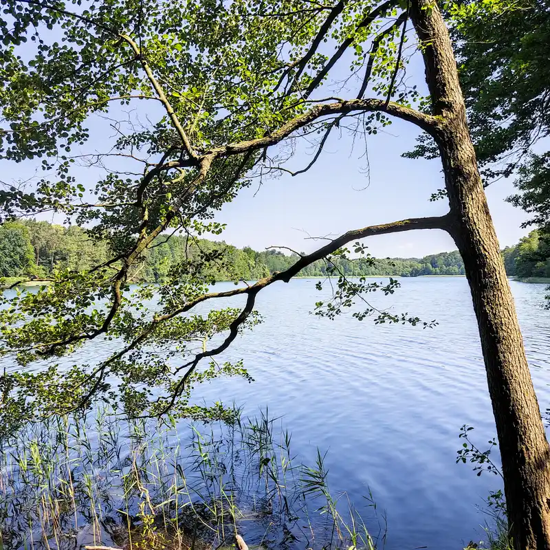 Liepnitzsee