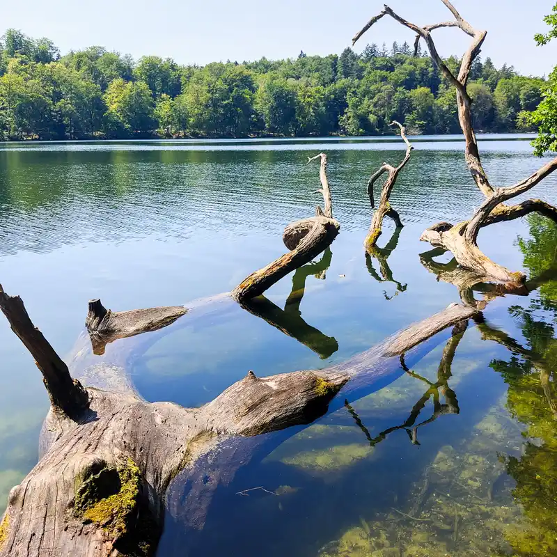 Obersee