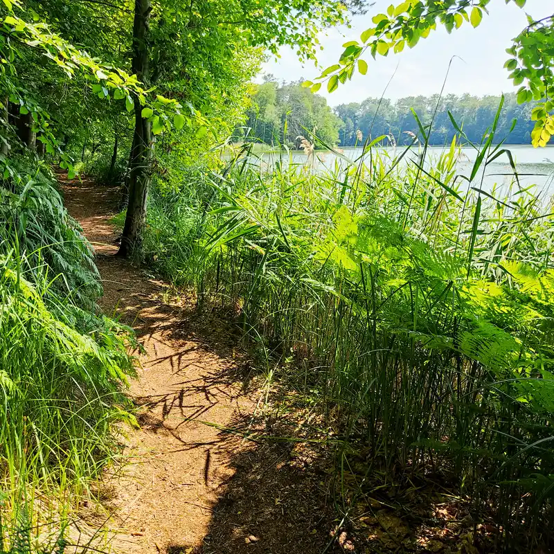Uferweg am Hellsee