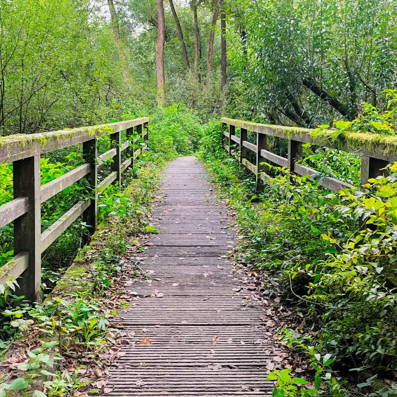 Brücke über die Bille