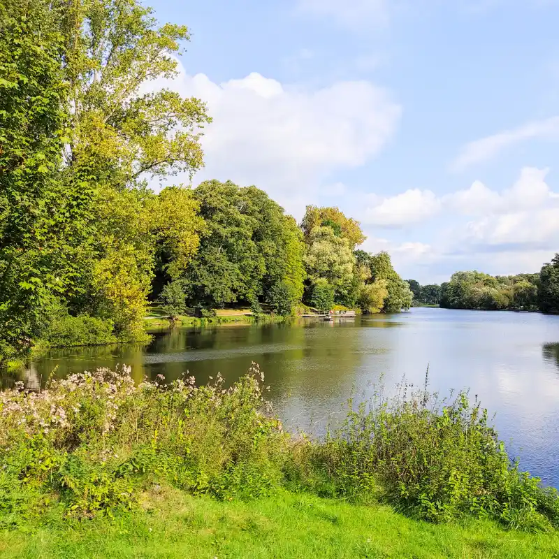 Mühlenteich bei Reinbek