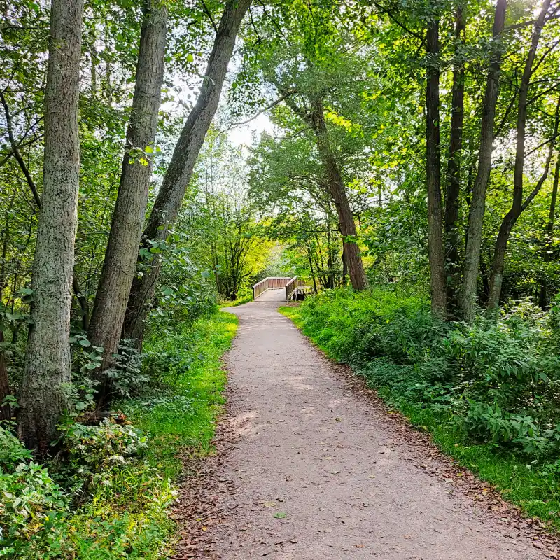 Weg an der Bille