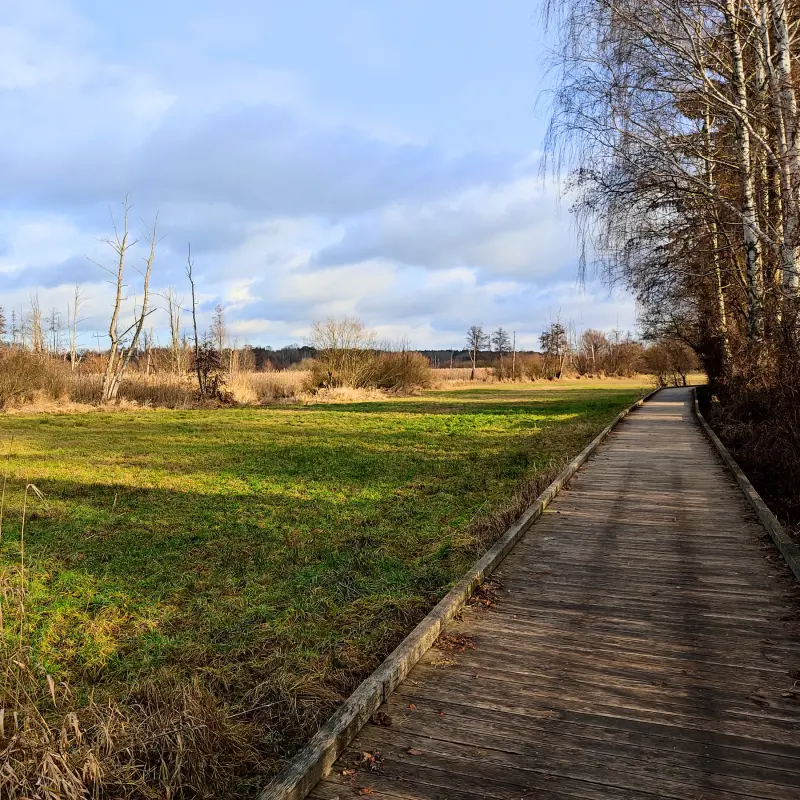 Runde durch das Tegeler Fließtal und um die Eichwerder Moorwiesen