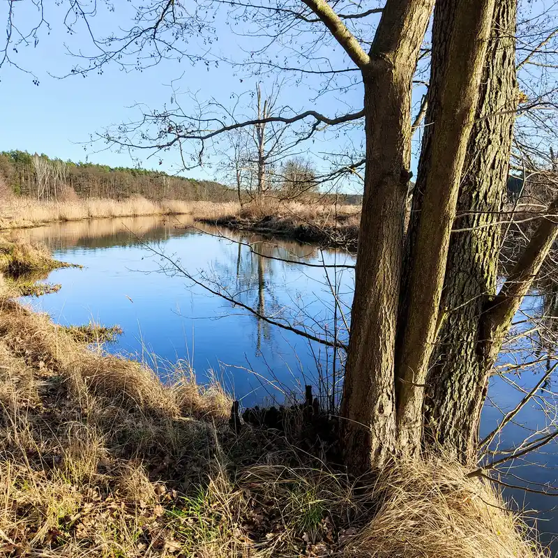 Spreewiesen und Kiefernwald zwischen Hangelsberg und Fürstenwalde