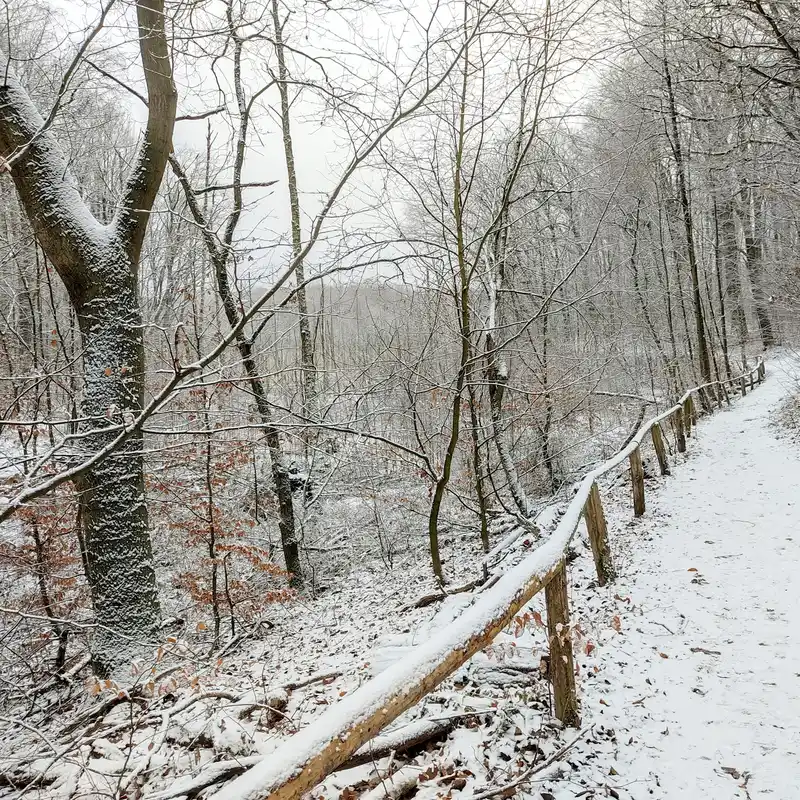 Wanderweg am Teufelsfenn