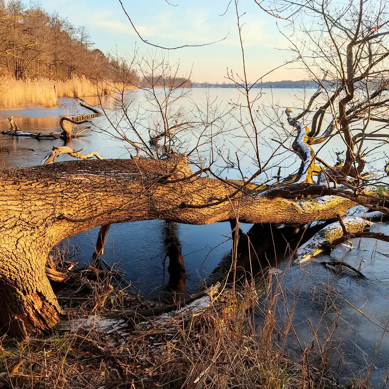 Über den Waldlehrpfad Teufelssee auf die Müggelberge und an das Sonnenufer des Langen Sees