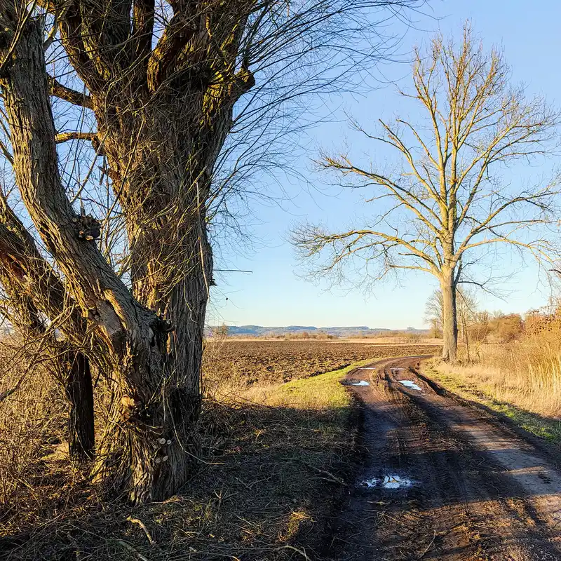 Wanderweg am Freienwalder Landgraben