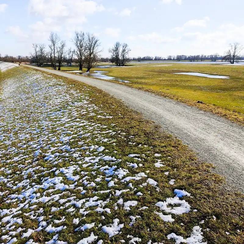 Wanderweg auf dem Elbdeich