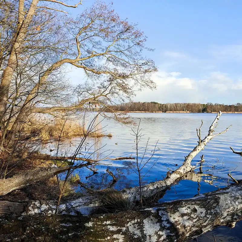 Wald- und wasserreiche Runde um den Schmöckwitzer Werder