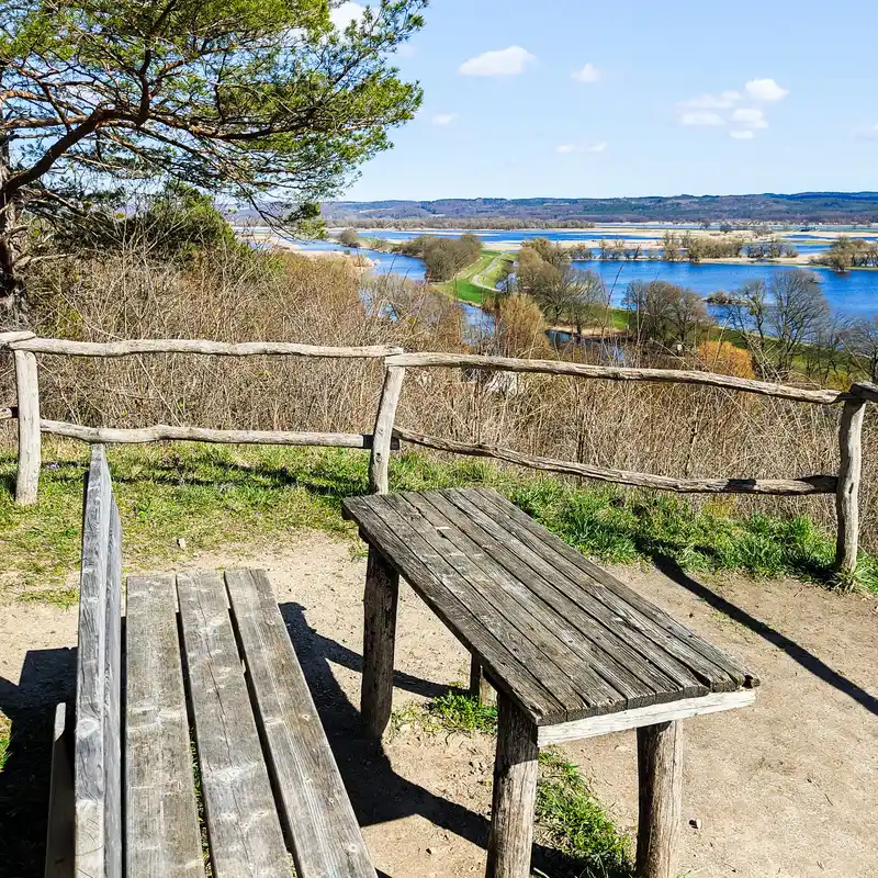 Oderhänge und Polderwiesen – Auf dem Märkischen Landweg durch den Nationalpark Unteres Odertal