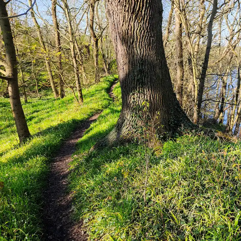 Höhenweg auf der Römerschanze