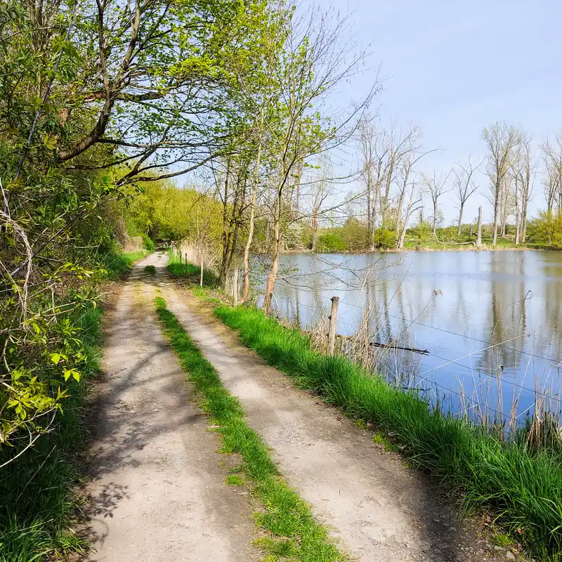 Auf dem Löwenzahnpfad um die Schönerlinder Teiche Wanderfeeling in