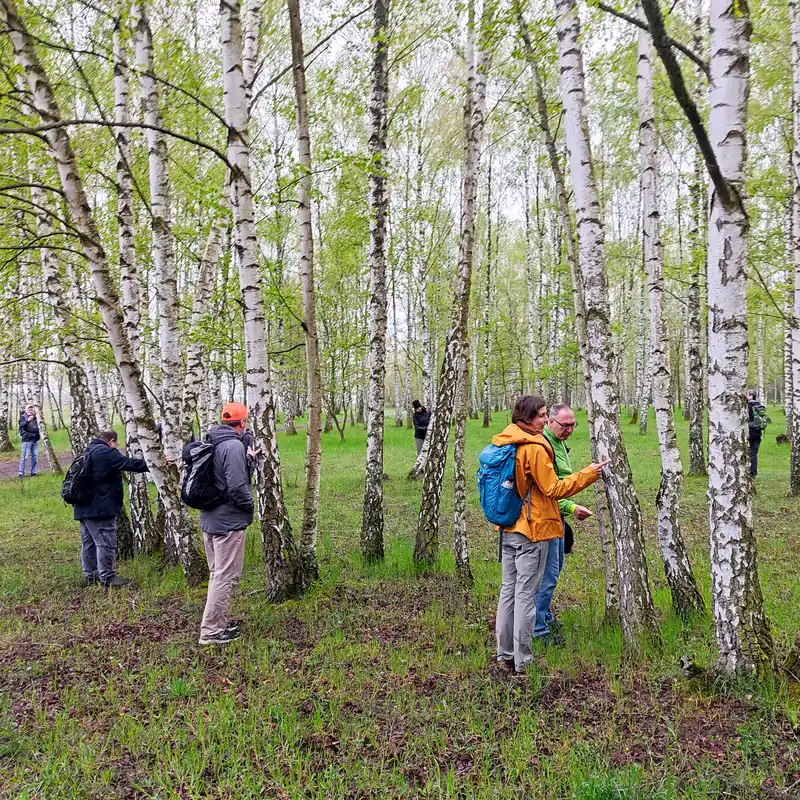 Auszeiten für die Seele – Gruppenwanderung durch das grüne Spandau vom Hahneberg zum Landhausgarten Dr. Fraenkel