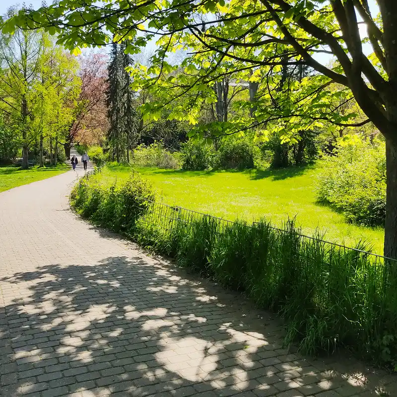 Auf dem Grünen Hauptweg 10 von Tempelhof zur Tulpenblüte im Britzer