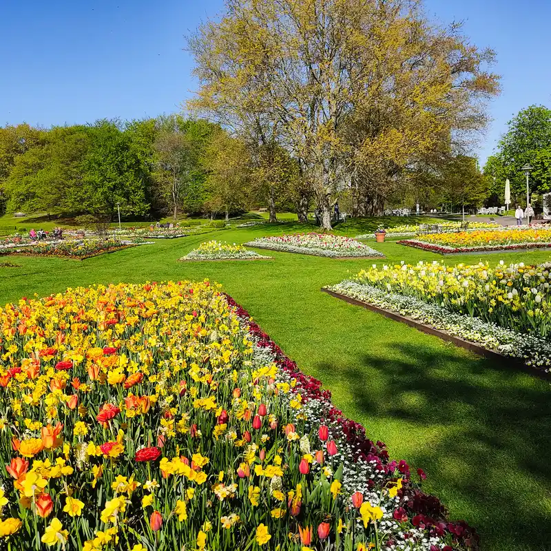 Tulpen und Narzissen im Britzer Garten