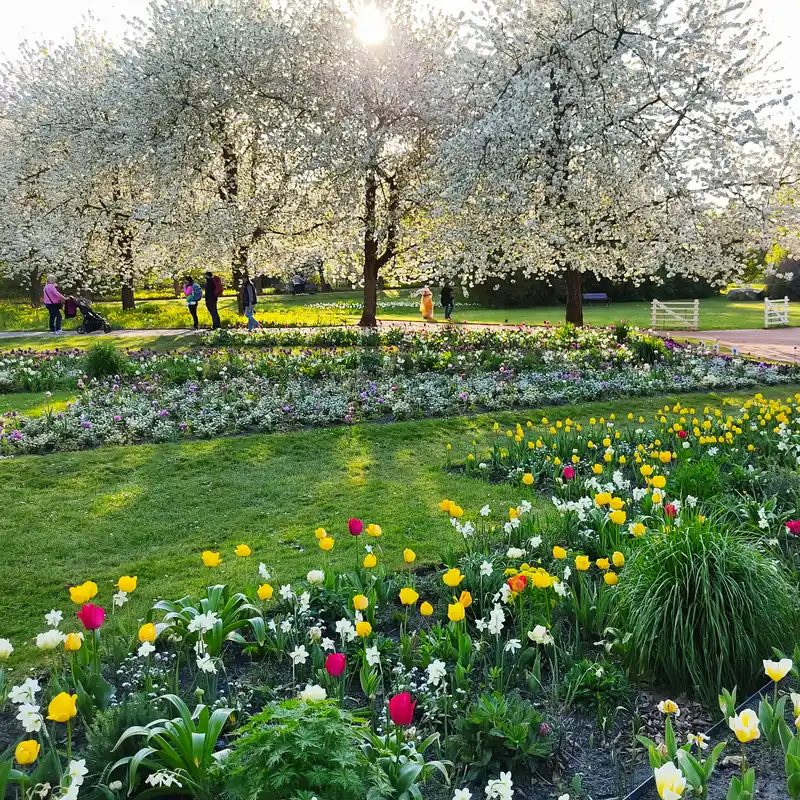 Tulpenschau im Britzer Garten