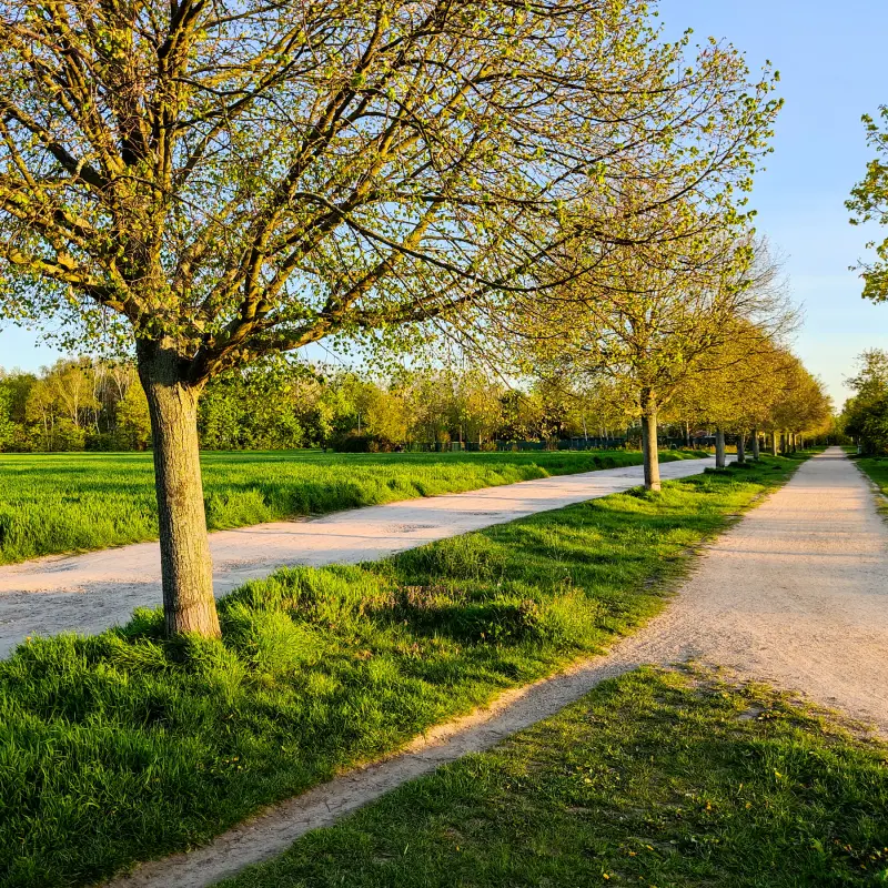 Auf dem Grünen Hauptweg 10 von Tempelhof zur Tulpenblüte im Britzer