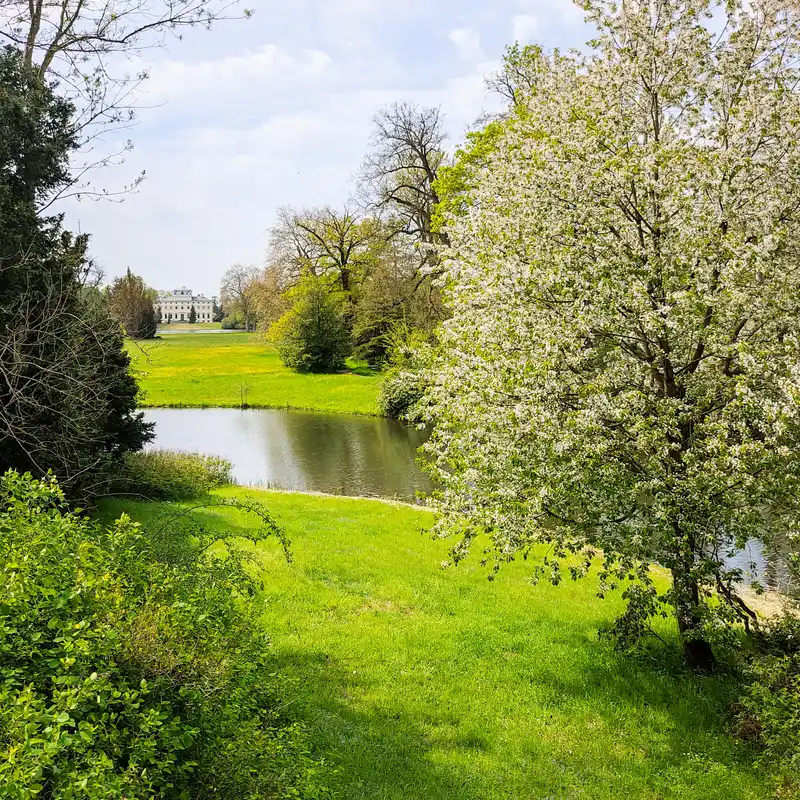 Wörlitzer Park mit Schlossblick