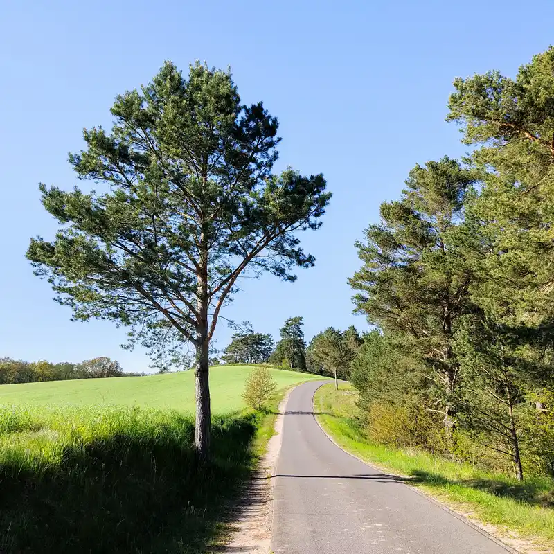 Von Gletschern geformte Landschaft