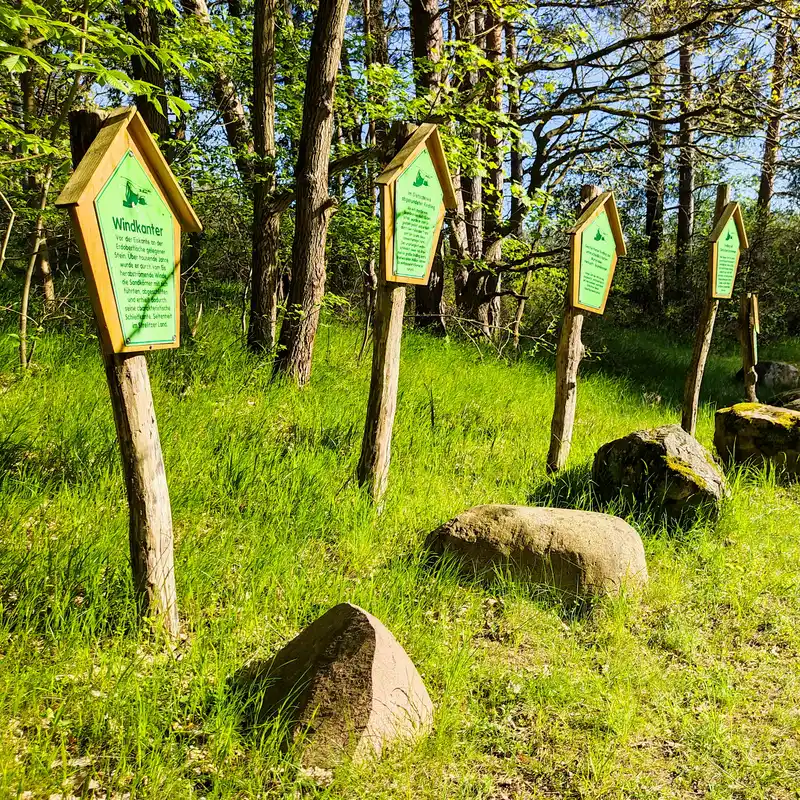 Findlingsgarten auf dem Buteberg