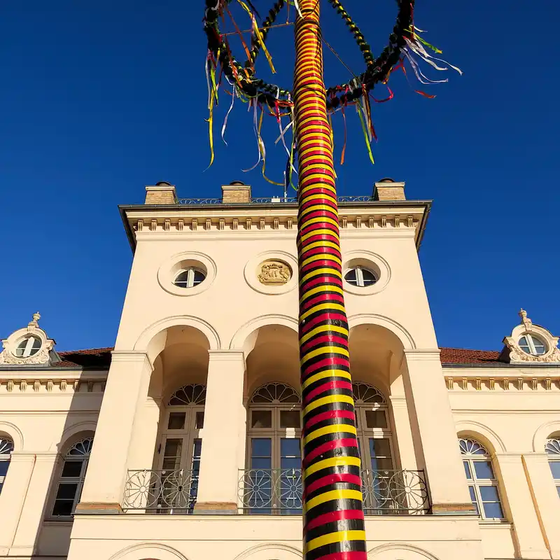 Maibaum vor dem Rathaus