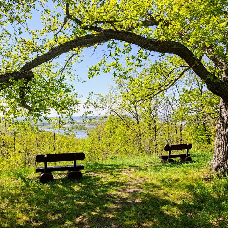 Ausblick vom Schirmberg