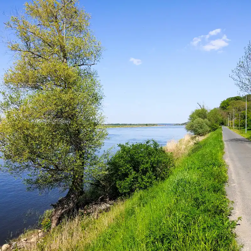 Polnisches Ufer der Oder