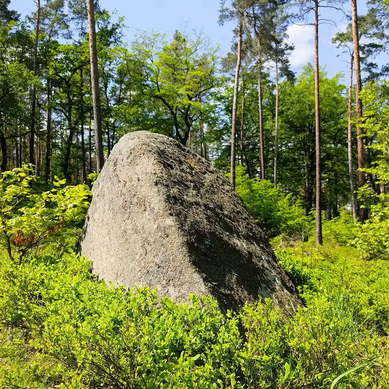 Reichhelmstein