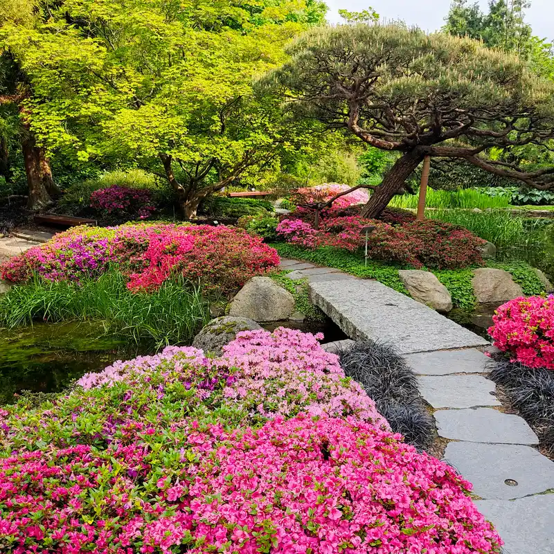 Japanischer Garten