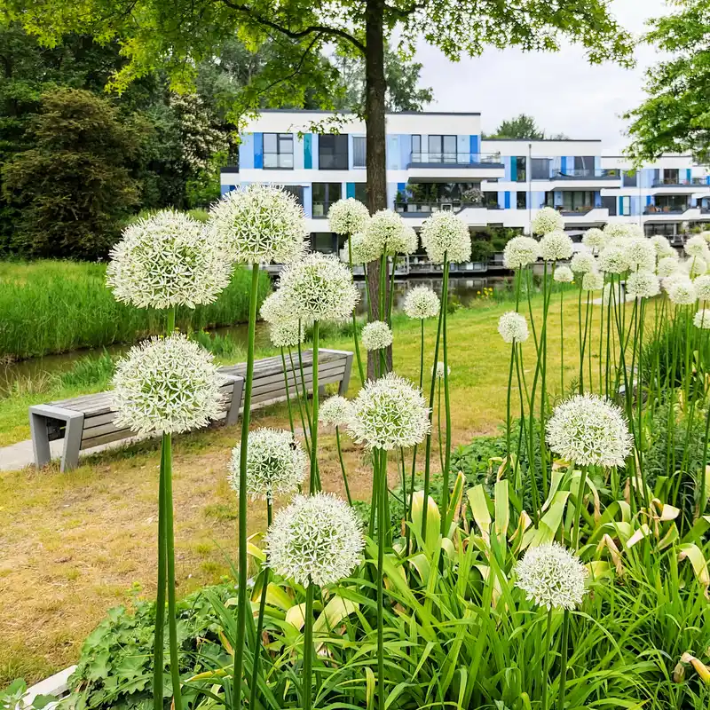 Spaziergang durch den Wilhelmsburger Inselpark mit Erinnerungen an die igs 2013