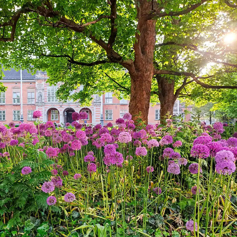 Grüne Runde durch Harburg zum Alten Friedhof und dem Harburger Stadtpark