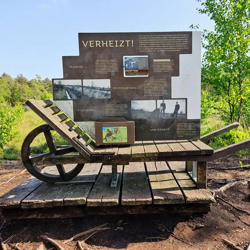 Schneverdinger Runde durch die weite Osterheide und das urwüchsige Pietzmoor