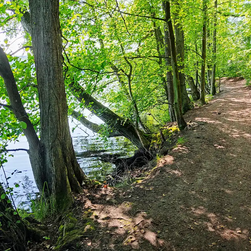Uferweg am Liepnitzsee