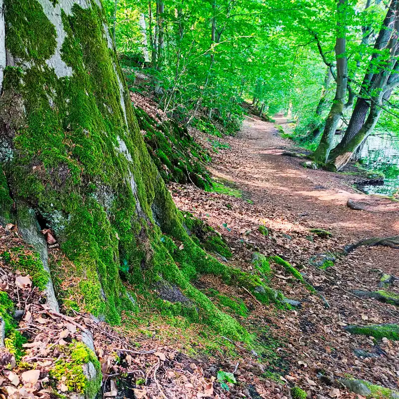 Uferweg am Liepnitzsee