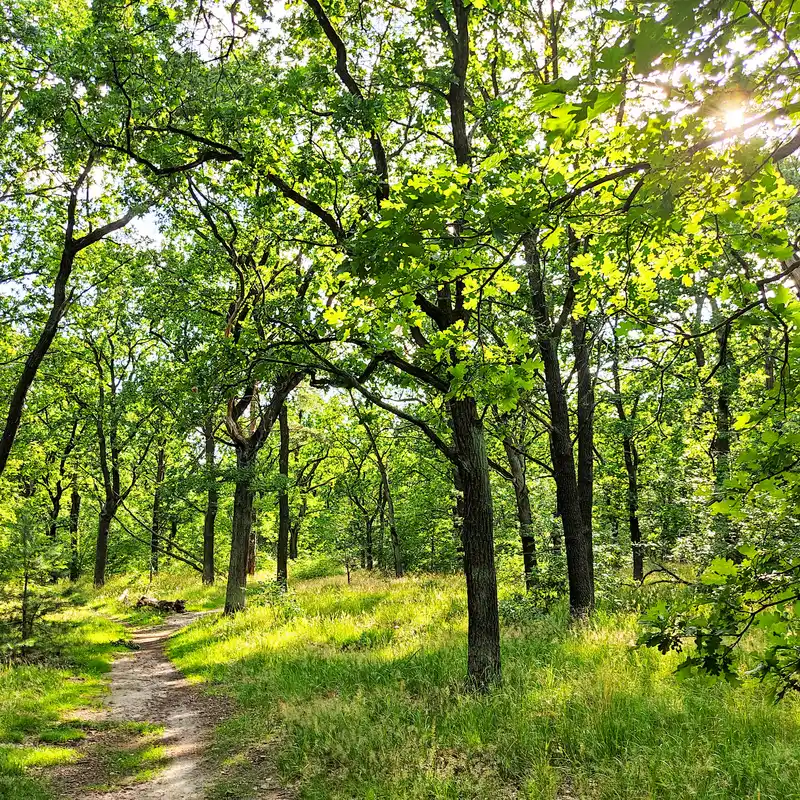 42+ Gartenanlage An Der Königsheide Berlin, Benannt ist der ortsteil
