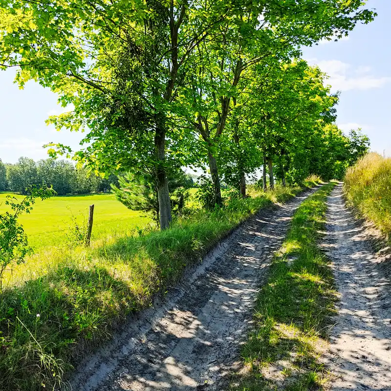 Über die sanften Hügel der Buckowseerinne an das waldreiche Ufer des Werbellinsees