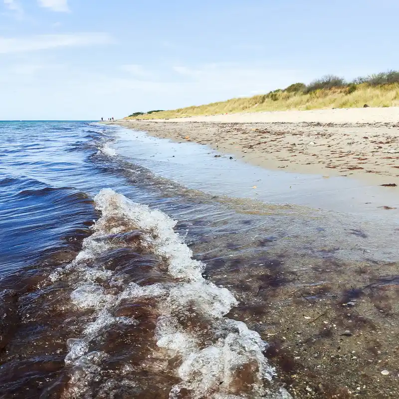 Farnwald und Sandstrand: Durch die Rostocker Heide und an der Ostsee entlang nach Markgrafenheide